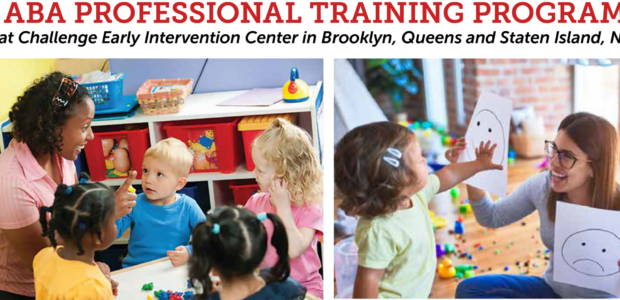 ABA Professional Training Program