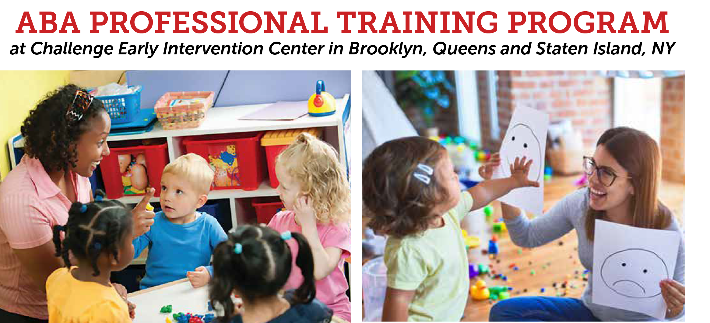 ABA Professional Training Program